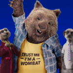 50% des loyers ne sont pas couverts par une assurance.