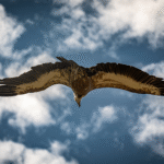 La situation actuelle de la politique mondiale devrait rester tendue pour le reste de l’année 2024.