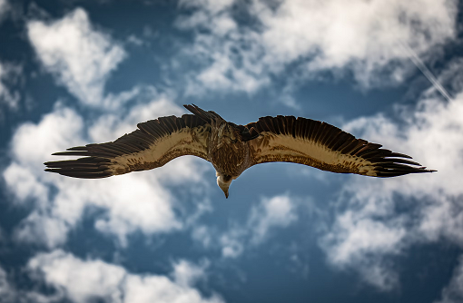 La situation actuelle de la politique mondiale devrait rester tendue pour le reste de l’année 2024.