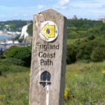 Augmenter l’efficacité : Fonds d’investissement BlackRock Throgmorton Trust