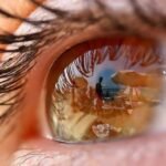 Mettre les bases de l’investissement: intéressé par FIRE? Alors, consacrez-vous à améliorer vos connaissances financières.