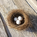 Quelle est la meilleure façon de placer son argent en vue de la retraite?